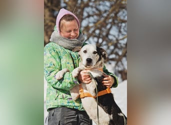 Liebenswerter Pluto ❤️ sucht sein Zuhause