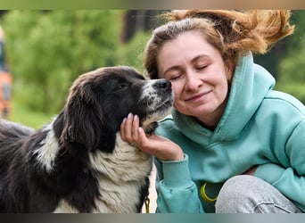 Souveräne Gerda ❤️ sucht ein verlässliches Zuhause