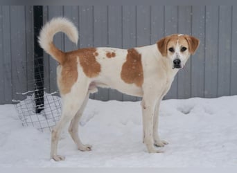 Sema ❤️ zurückgelassen - und trotzdem liebt er noch