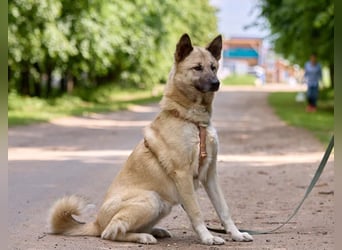 Intelligenter Zeus ❤️ sucht aktive Menschen