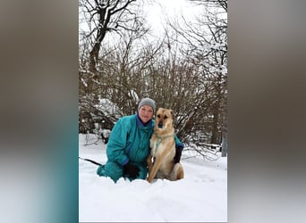 Freundliche Tuchka ❤️ sucht ein ruhigeres Zuhause