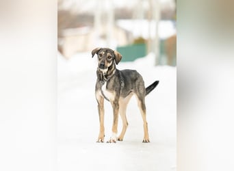 MARTA ❤️ sie wartet immer noch auf ihren Menschen