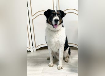 Hier kommt Rich ❤️ ein besonderer Blick der direkt ins Herz geht