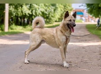 Intelligenter Zeus ❤️ sucht aktive Menschen