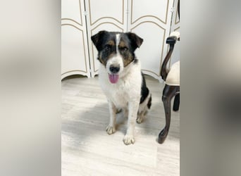 Hier kommt Rich ❤️ ein besonderer Blick der direkt ins Herz geht