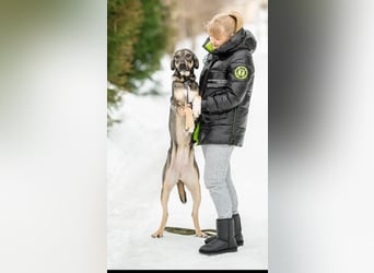 MARTA ❤️ sie wartet immer noch auf ihren Menschen