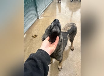 Liora sucht ihr perfect match ❤️