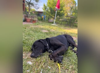 Entspannter Cash sucht dringend neuen Platz 