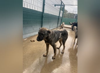 Liora sucht ihr perfect match ❤️