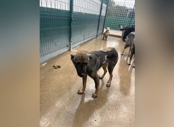 Liora sucht ihr perfect match ❤️