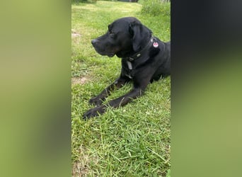 Entspannter Cash sucht dringend neuen Platz 