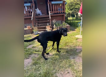 Entspannter Cash sucht dringend neuen Platz 