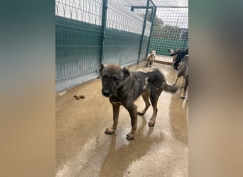 Liora sucht ihr perfect match ❤️