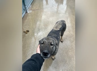 Liora sucht ihr perfect match ❤️