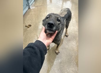 Liora sucht ihr perfect match ❤️