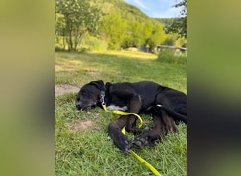 Entspannter Cash sucht dringend neuen Platz 