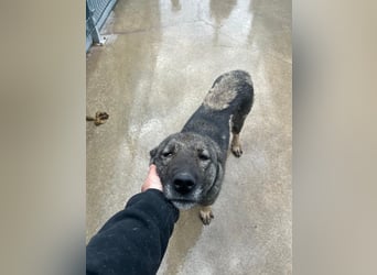 Liora sucht ihr perfect match ❤️