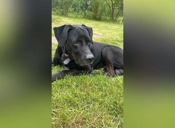 Entspannter Cash sucht dringend neuen Platz 