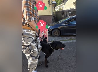 Entspannter Cash sucht dringend neuen Platz 