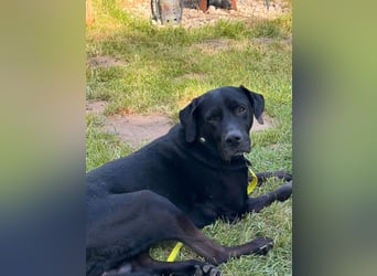 Entspannter Cash sucht dringend neuen Platz 