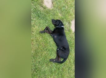 Entspannter Cash sucht dringend neuen Platz 