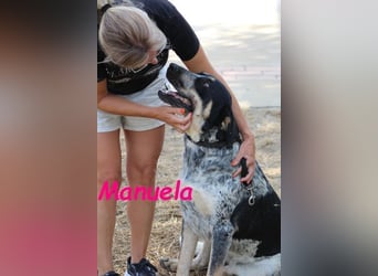 Manuela geb. 12/2023 (ESP) - harmonische, gutmütige und lustige Jungündin!