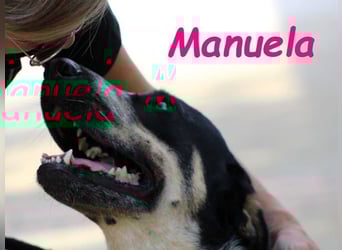 Manuela geb. 12/2023 (ESP) - harmonische, gutmütige und lustige Jungündin!