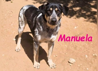 Manuela geb. 12/2023 (ESP) - harmonische, gutmütige und lustige Jungündin!