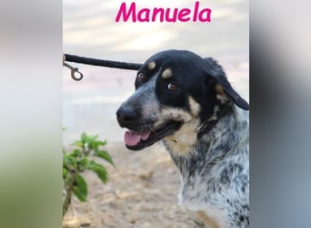 Manuela geb. 12/2023 (ESP) - harmonische, gutmütige und lustige Junghündin!