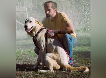 Doya – ein großer Schatz