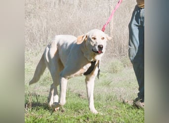 Doya – ein großer Schatz