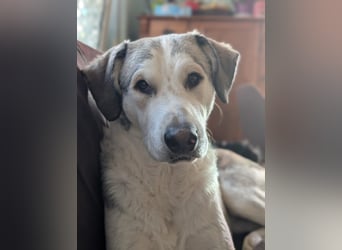 Ciro: wer gibt ihm Halt und Sicherheit?