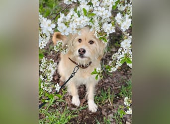 Fröhliche Lulu sucht ihre Familie