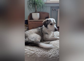 Ciro: wer gibt ihm Halt und Sicherheit?