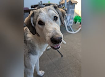 Ciro: wer gibt ihm Halt und Sicherheit?