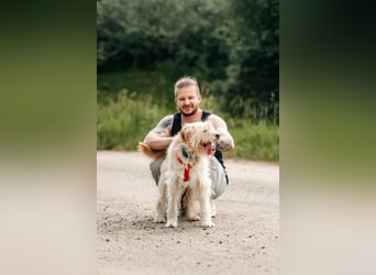Fröhliche Lulu sucht ihre Familie
