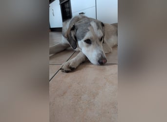 Ciro: wer gibt ihm Halt und Sicherheit?