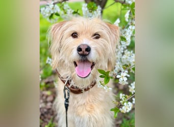 Fröhliche Lulu sucht ihre Familie