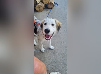 Nala: „Wenn ich einmal groß bin……...“