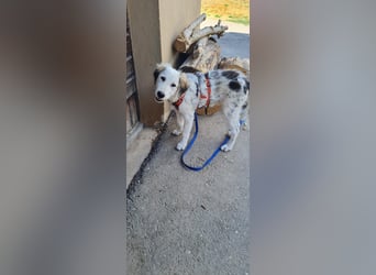 Nala: „Wenn ich einmal groß bin……...“