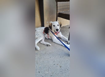 Nala: „Wenn ich einmal groß bin……...“