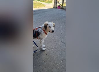 Nala: „Wenn ich einmal groß bin……...“
