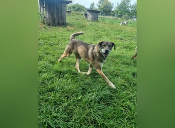 Finn – sensibler Kerl sucht souveräne Menschen