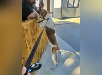 COSMO ein bezaubernder Bub