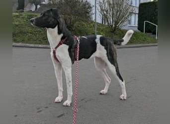 Große Begleiterin Kiwi