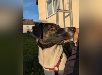 Große Begleiterin Kiwi