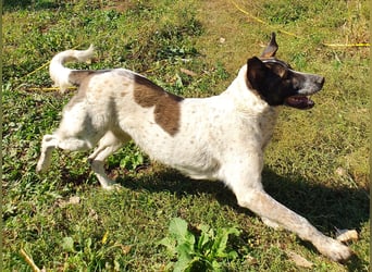 SEBI möchte dein Herz erobern