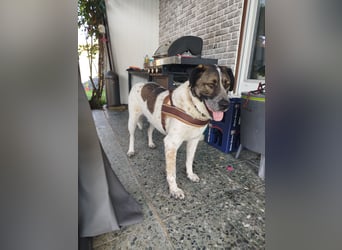 SEBI möchte dein Herz erobern