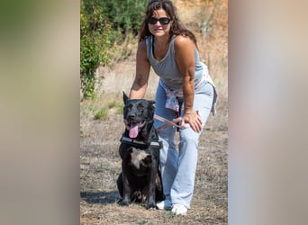 Luke – ein prima Kumpel