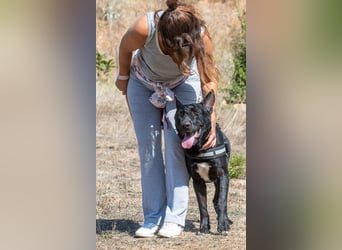 Luke – ein prima Kumpel